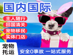 淮安涟水国际宠物托运 【国